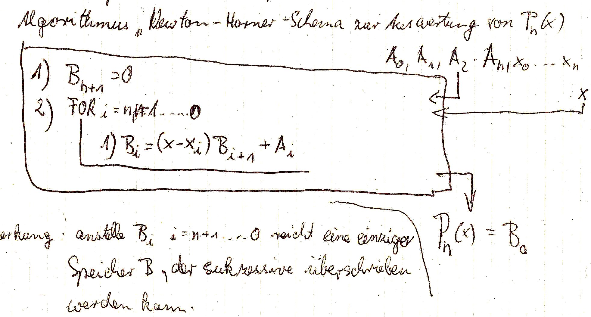 Algorithmus: Newton Horner Schema